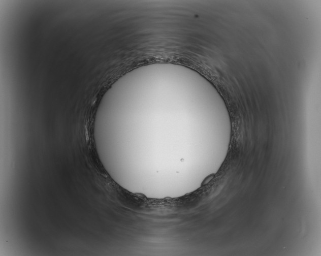X0000089930962200706290752
