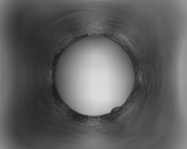 X0000089930964200706290752