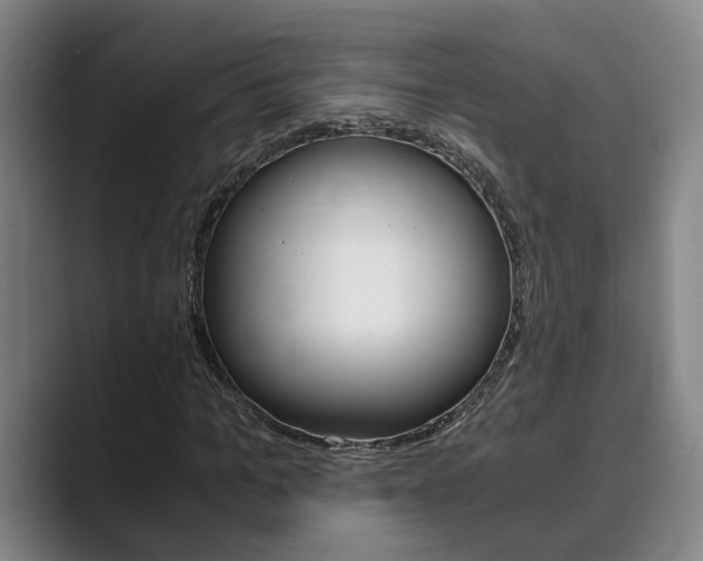 X0000089930965200706290752