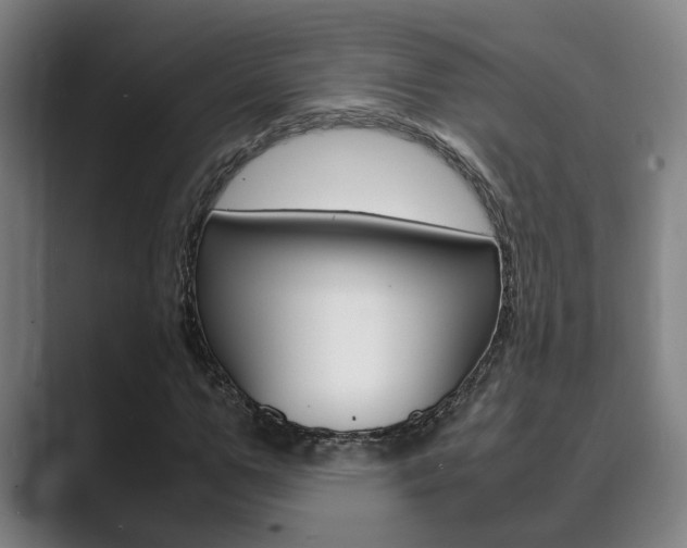 X0000089930967200706290752