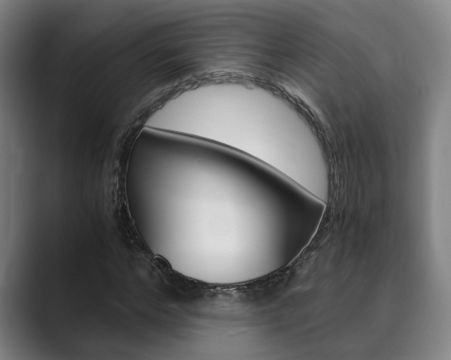 X0000089930968200706290752