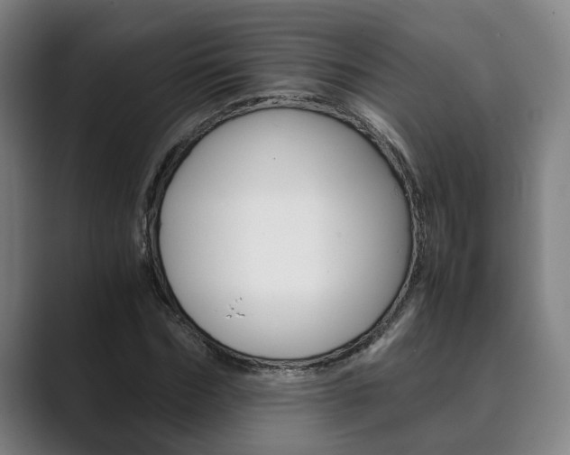 X0000089930970200706290752
