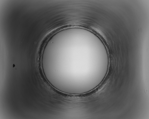X0000089930971200706290752
