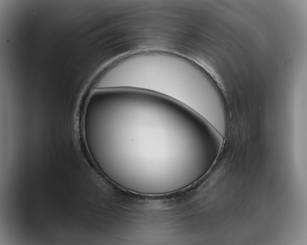 X0000089930976200706290752