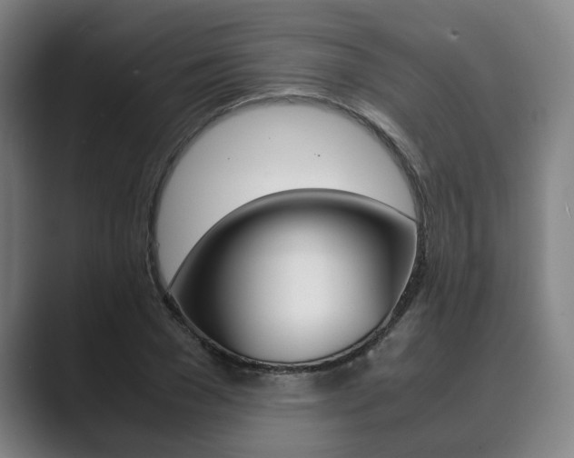 X0000089930977200706290752