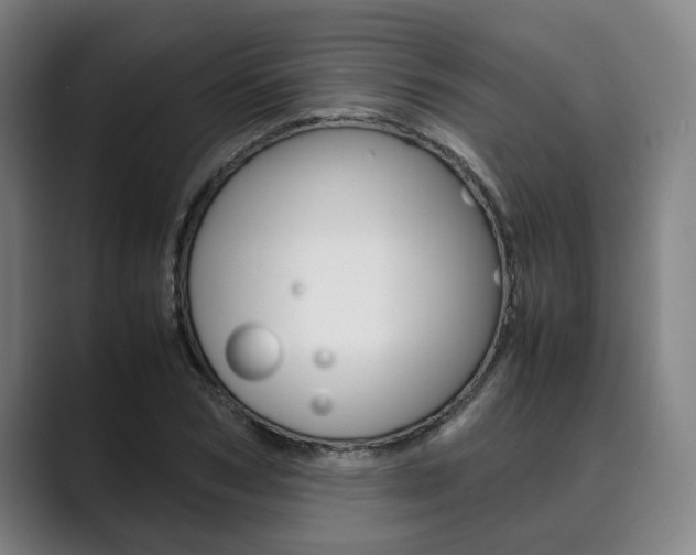 X0000089930978200706290752