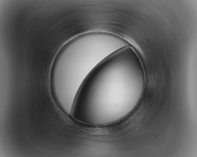 X0000089930980200706290752