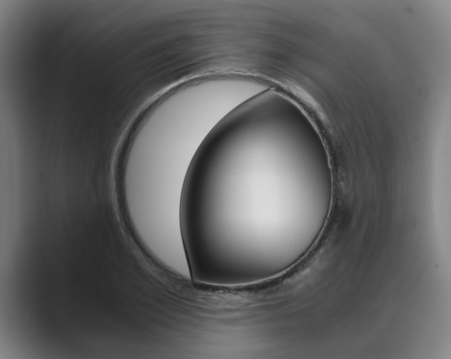 X0000089930981200706290752