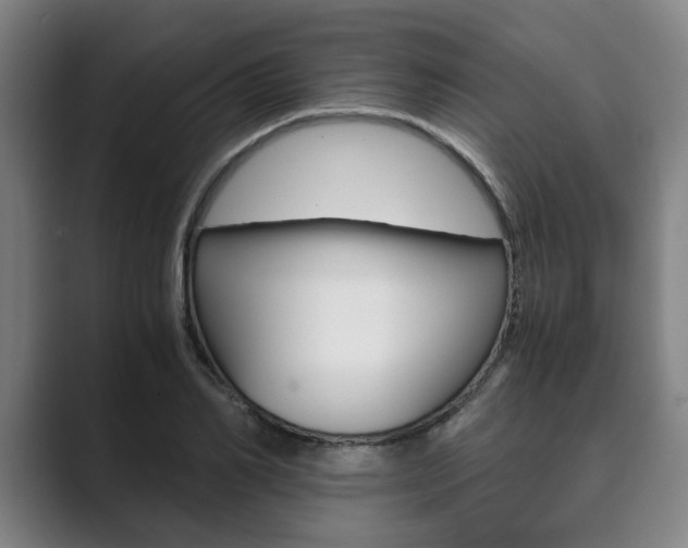 X0000089930982200706290752