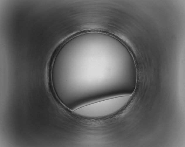 X0000089930983200706290752