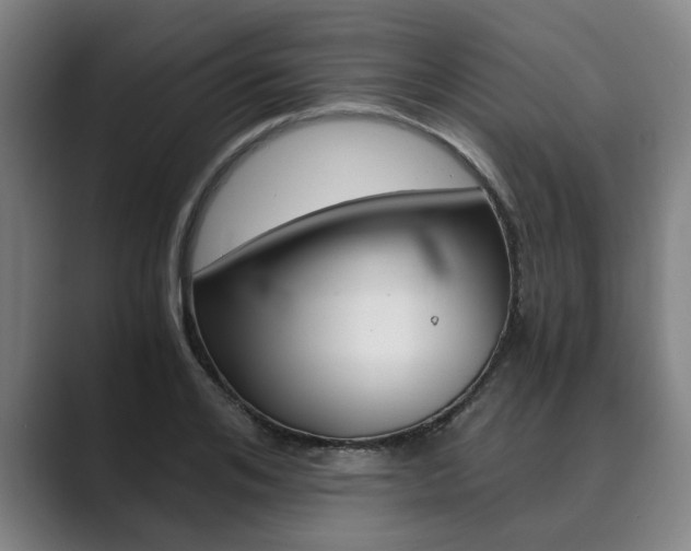 X0000089930984200706290752