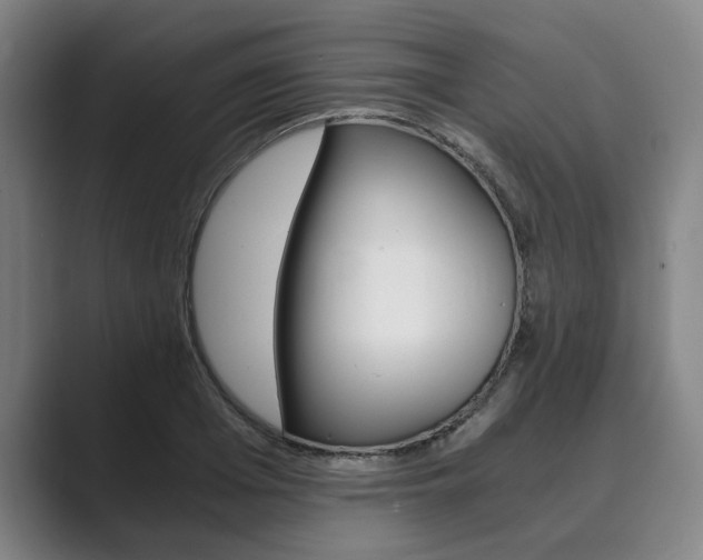 X0000089930985200706290752
