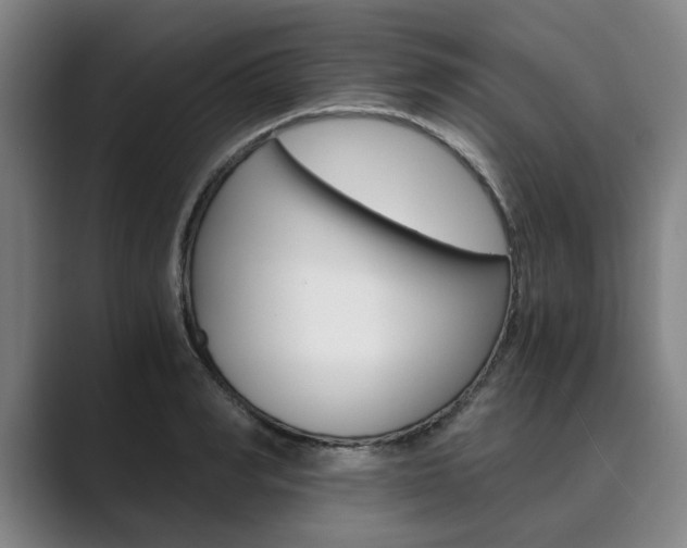 X0000089930990200706290752