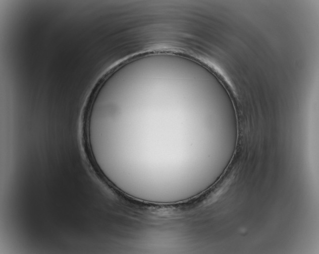 X0000089930991200706290752