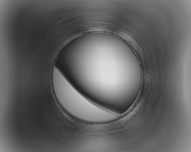 X0000089930993200706290752