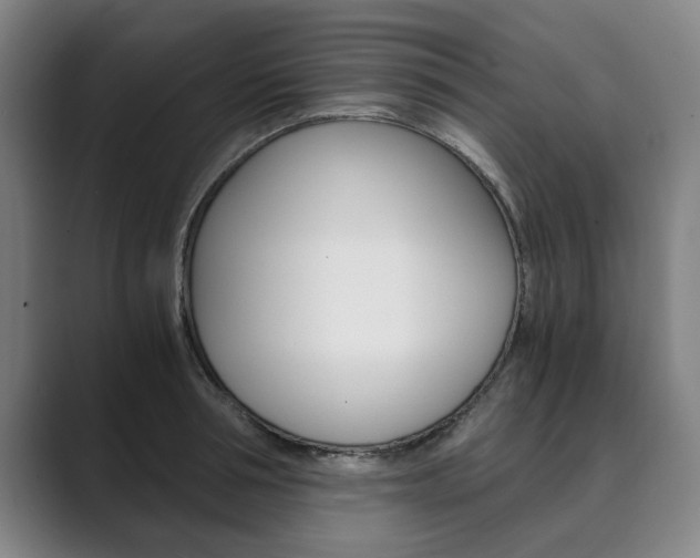 X0000089930994200706290752