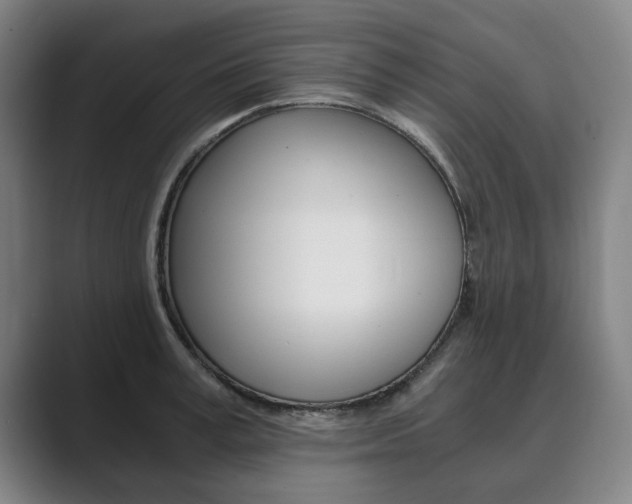 X0000089930995200706290752