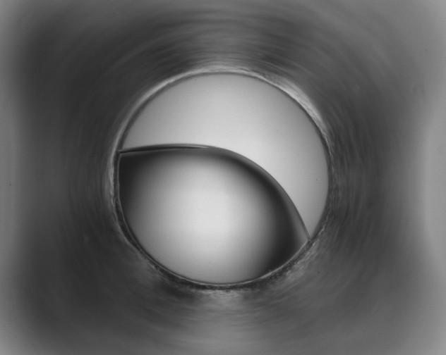 X0000089930996200706290752