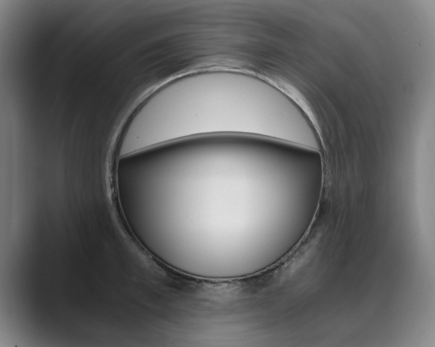 X0000089930997200706290751