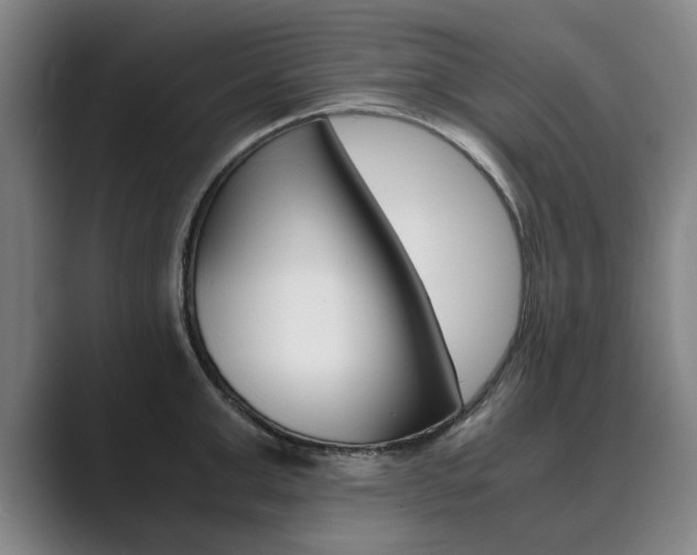 X0000089930999200706290751