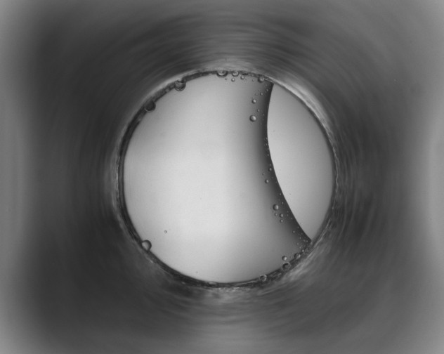 X0000089931000200706290751
