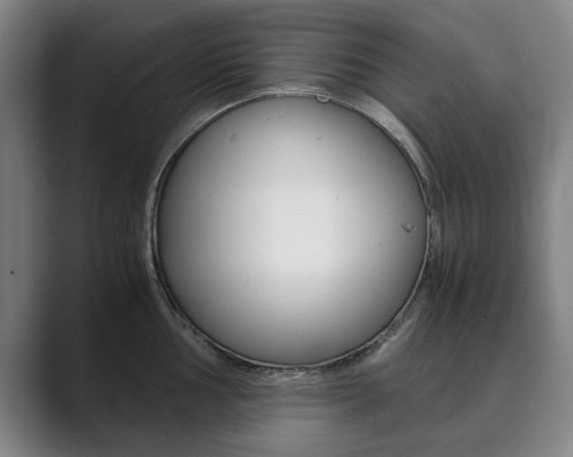 X0000089931002200706290751