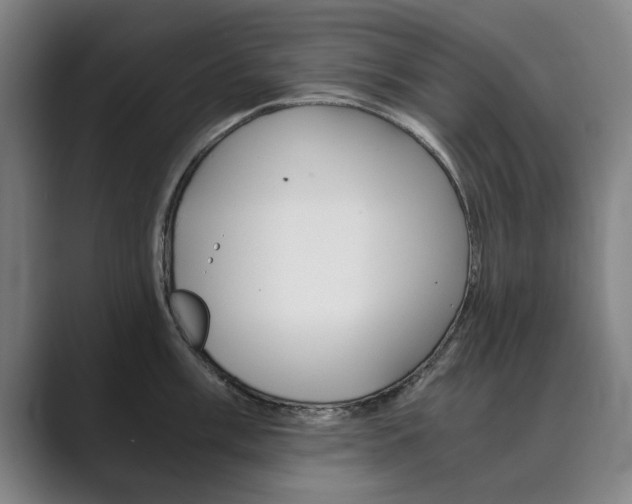 X0000089931003200706290751