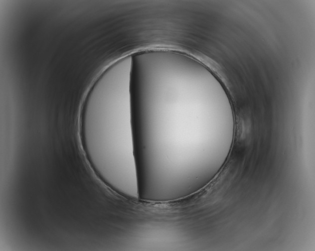 X0000089931006200706290751