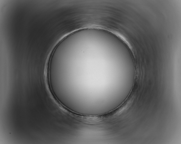 X0000089931007200706290751