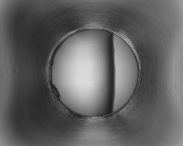 X0000089931008200706290751