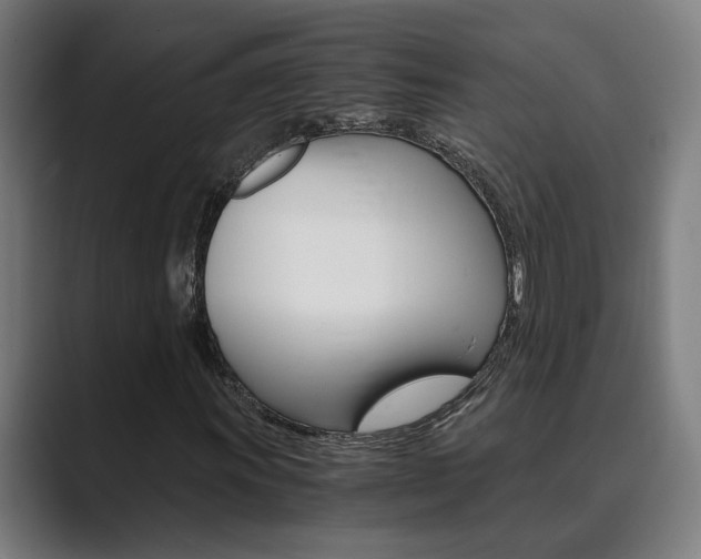 X0000089931011200706290751