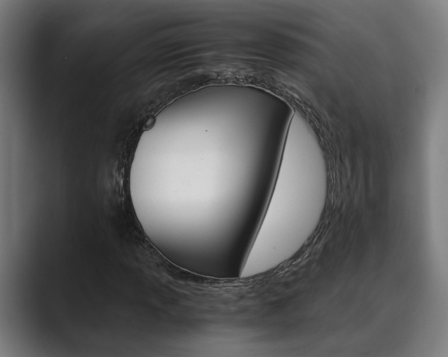 X0000089931013200706290751