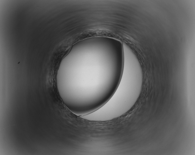 X0000089931014200706290751