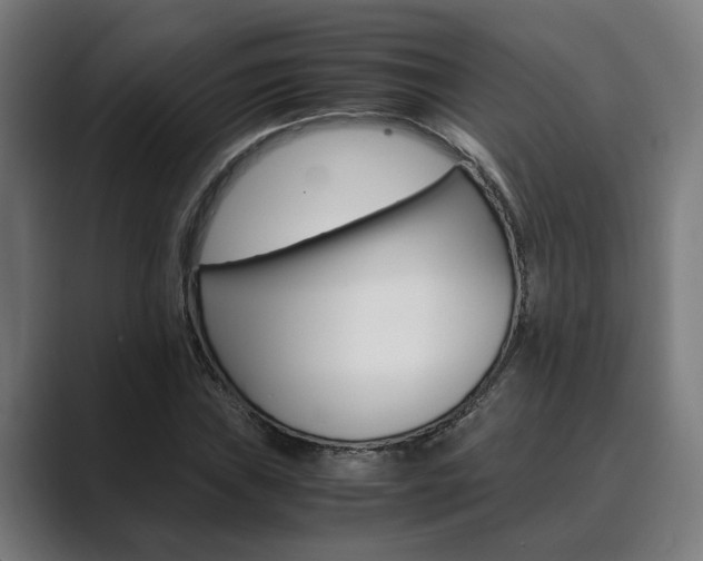 X0000089931019200706290751