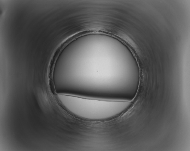 X0000089931020200706290751