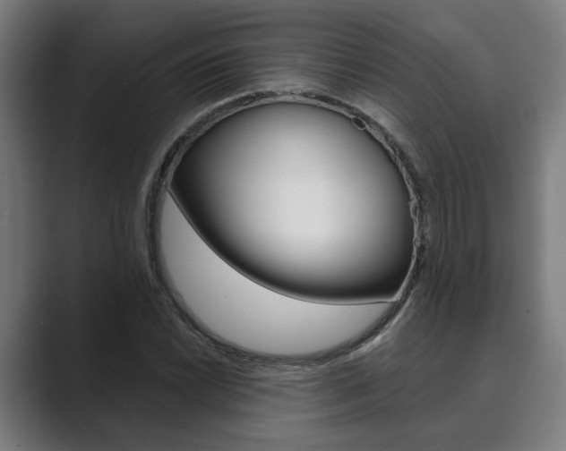 X0000089931022200706290751