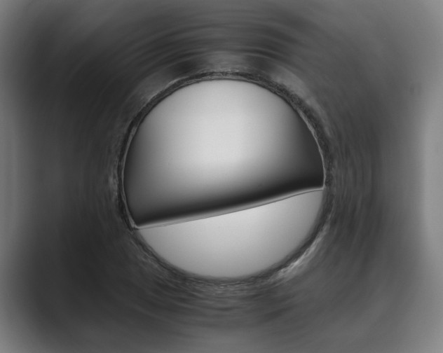 X0000089931025200706290751