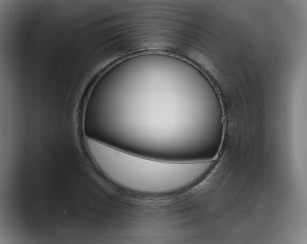 X0000089931026200706290751
