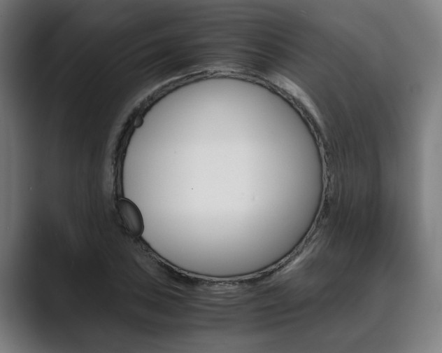 X0000089931027200706290751