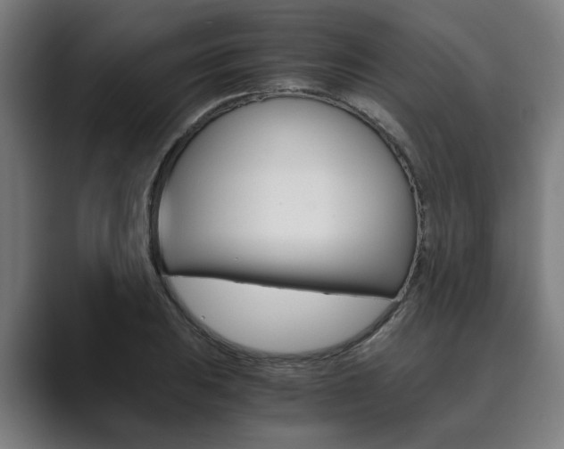 X0000089931031200706290751