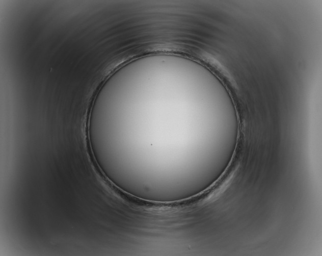 X0000089931033200706290751