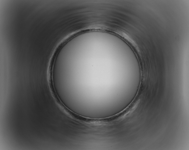 X0000089931037200706290751