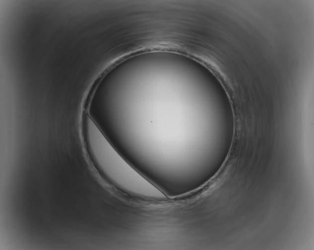 X0000089931038200706290751