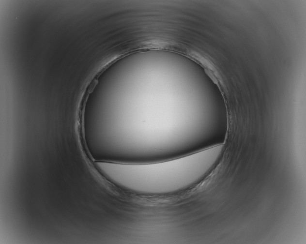 X0000089931042200706290751