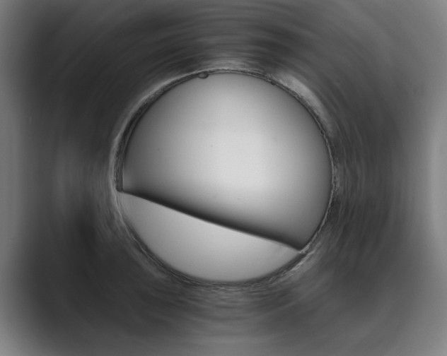 X0000089931043200706290751