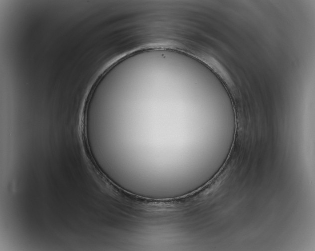 X0000089931044200706290751
