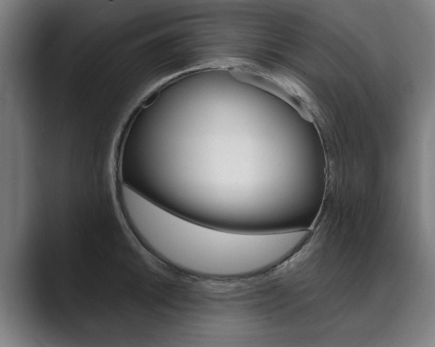 X0000089931046200706290751