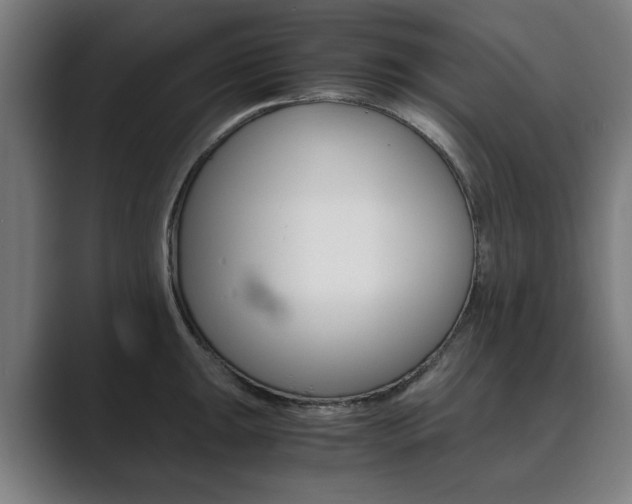 X0000089931047200706290751