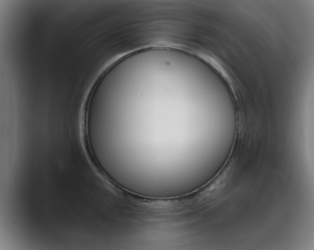 X0000089931048200706290751