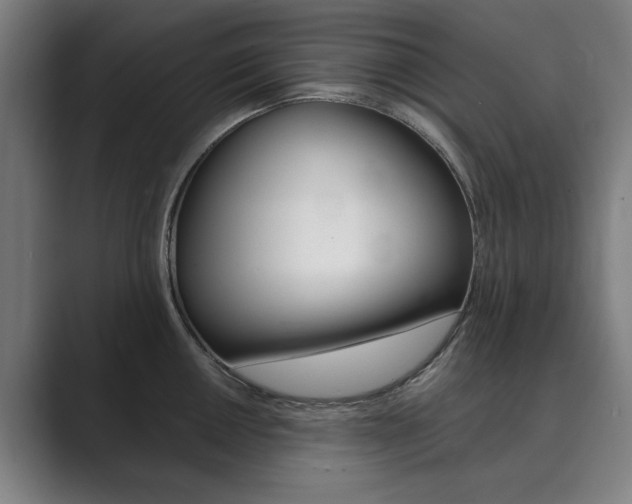 X0000089931050200706290751